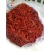 DRIED CHILIES WITHOUT STEM